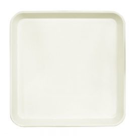ABS plastic tray